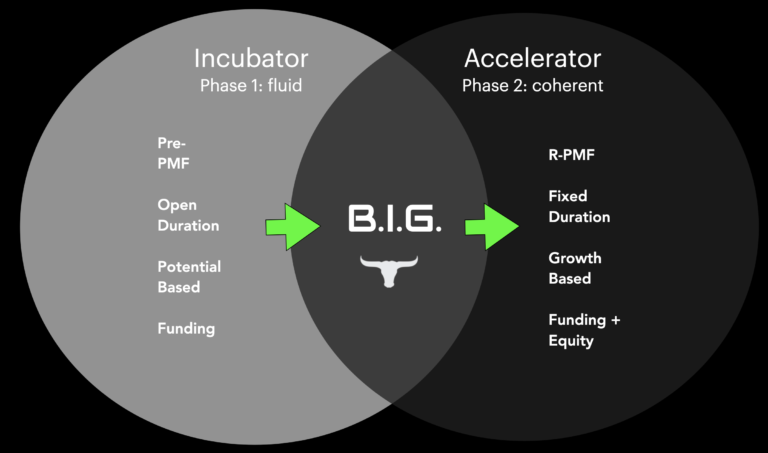 BIG IA Mission Thesis